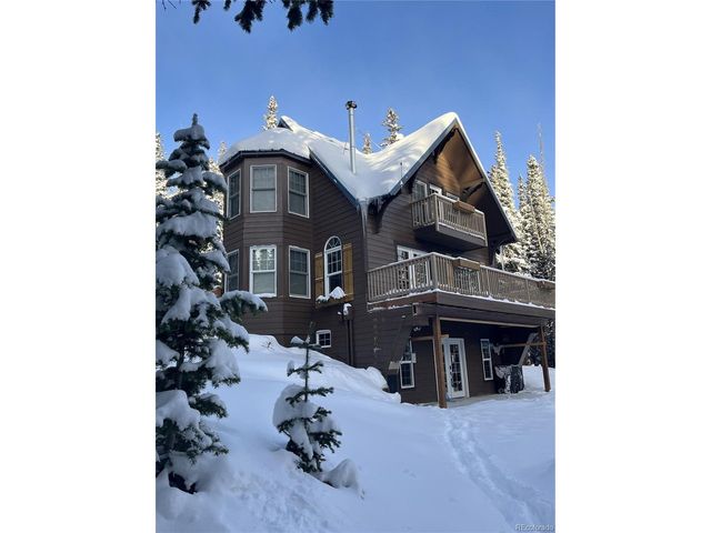 215 Bum Dr, Fairplay, CO 80440