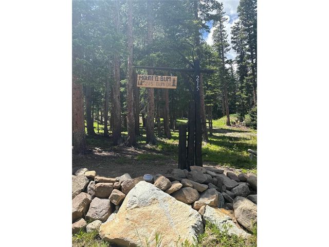 215 Bum Dr, Fairplay, CO 80440