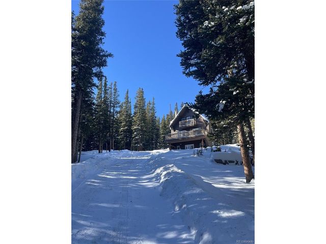 215 Bum Dr, Fairplay, CO 80440