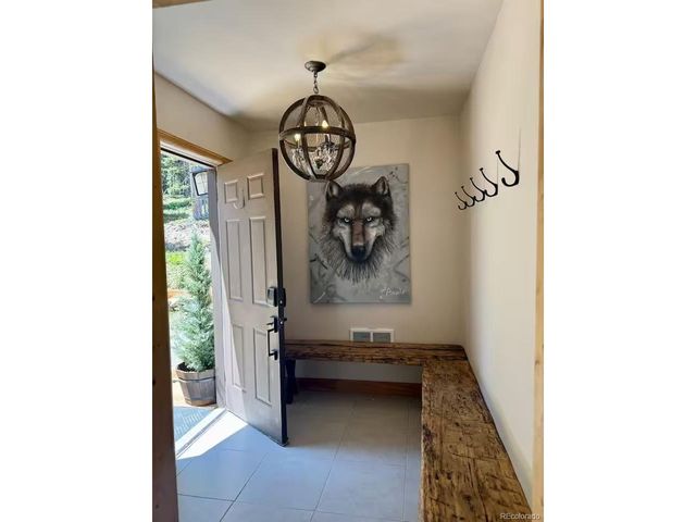 215 Bum Dr, Fairplay, CO 80440
