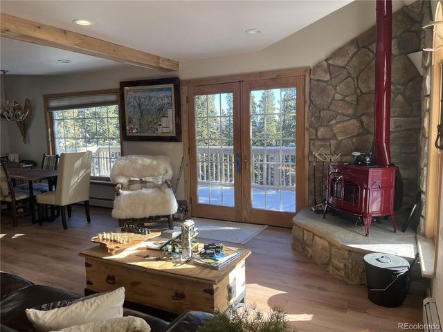215 Bum Dr, Fairplay, CO 80440