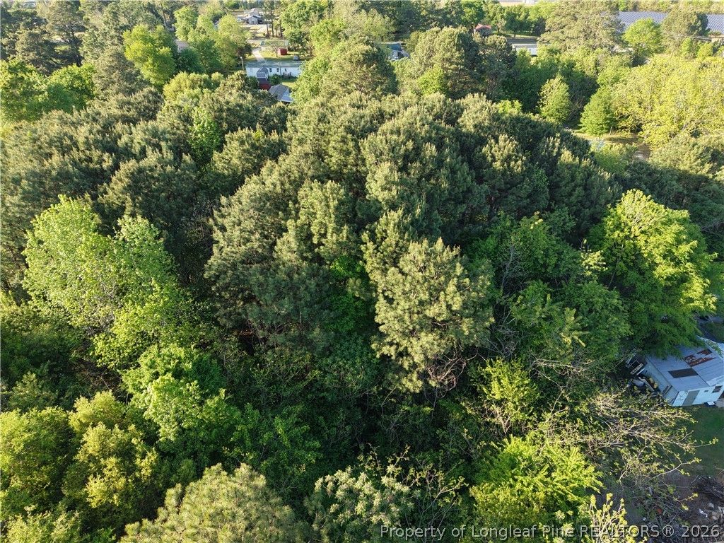 Amaziahs Farm Road, Maxton, NC 28364 — photo 4