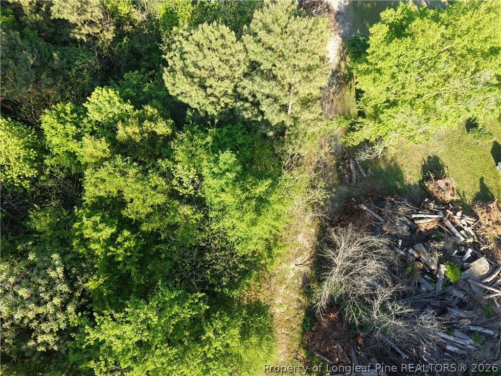 Amaziahs Farm Road, Maxton, NC 28364 — photo 7