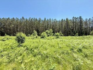 0 Phipps Road and Brook Lane, Hayward, MN 54843