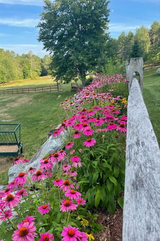 2141 Twenty Mile Stream Road, Cavendish, VT 05153