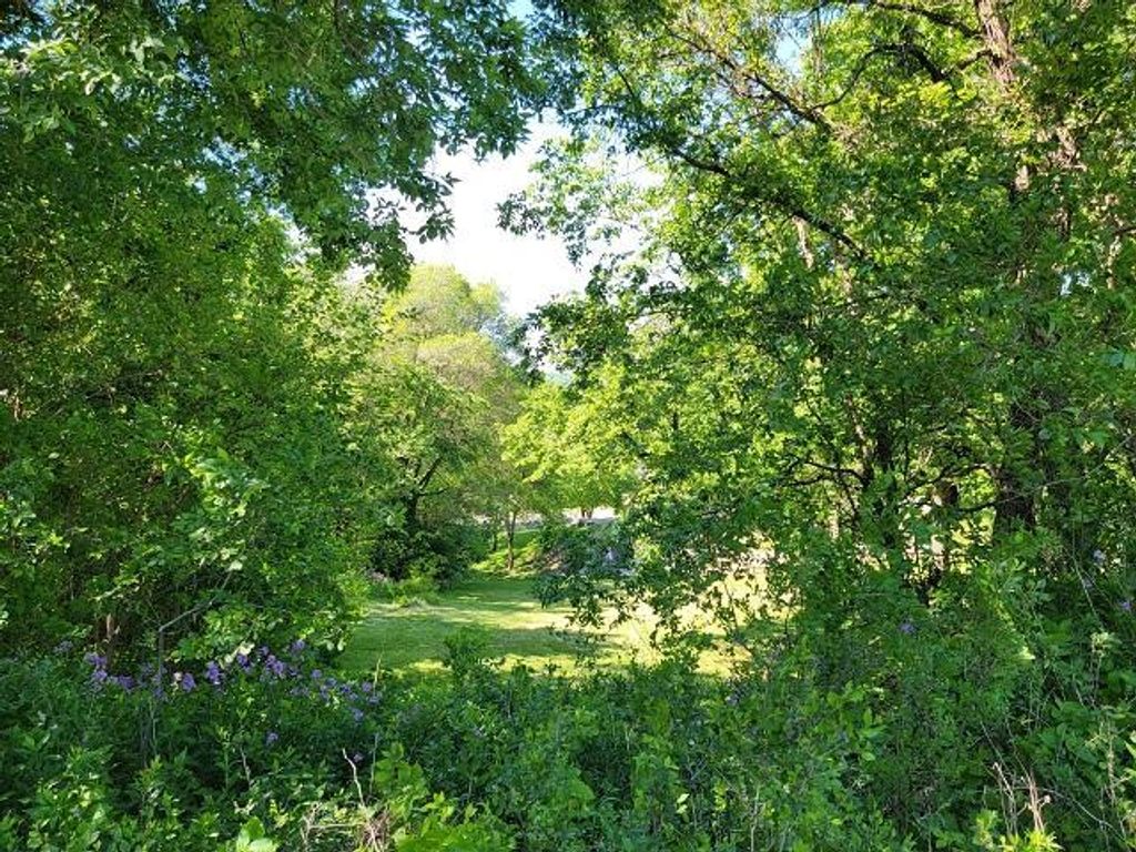XXX W Church Street, Belle Plaine, MN 56011 — photo 3