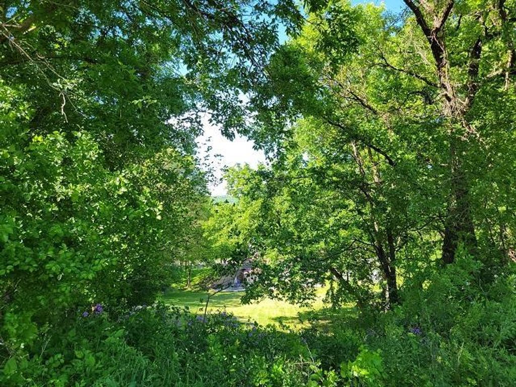 XXX W Church Street, Belle Plaine, MN 56011 — photo 4