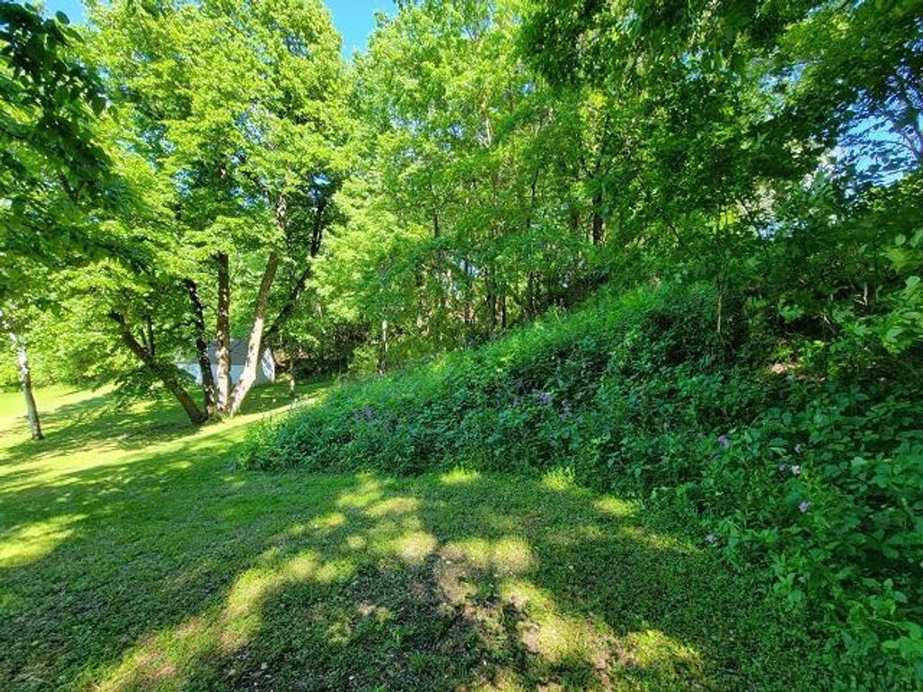 XXX W Church Street, Belle Plaine, MN 56011 — photo 5