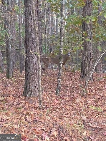 1774 Maynards Mill Road, Forsyth, GA 31029