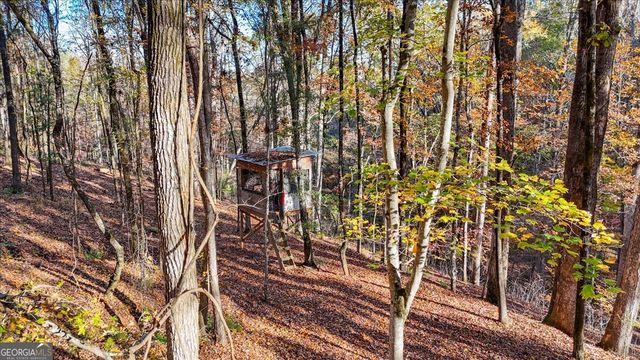 1774 Maynards Mill Road, Forsyth, GA 31029