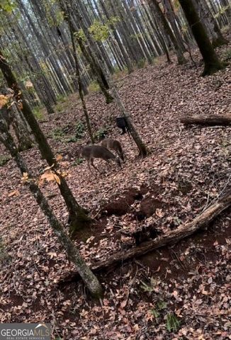 1774 Maynards Mill Road, Forsyth, GA 31029