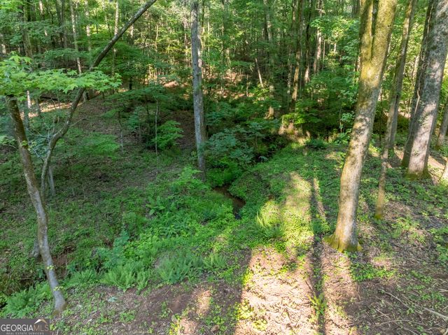 1774 Maynards Mill Road, Forsyth, GA 31029