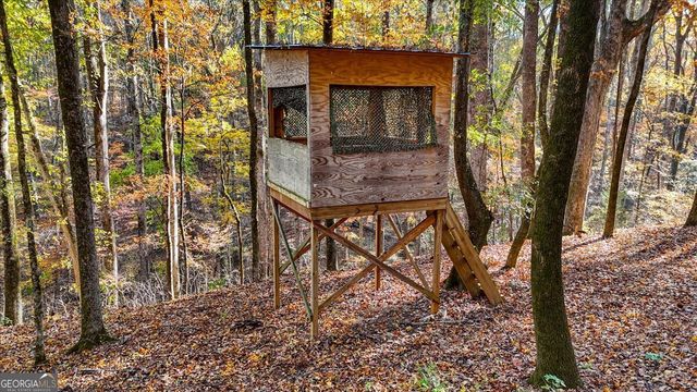 1774 Maynards Mill Road, Forsyth, GA 31029