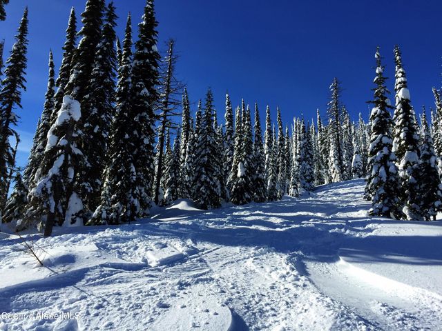 NNA Mogul Hill B2 L5, Sandpoint, ID 83864