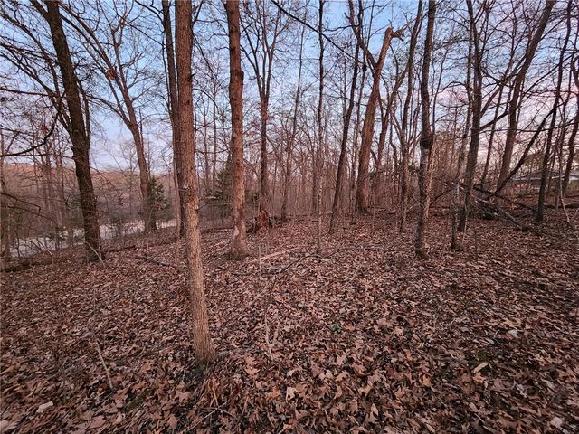 Lot 14 Heanor Lane, Bella Vista, AR 72714