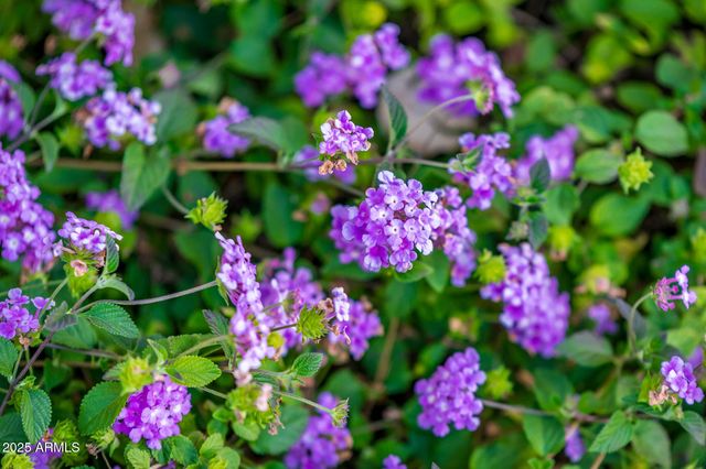 22815 N ARRELLAGA Drive, Sun City West, AZ 85375