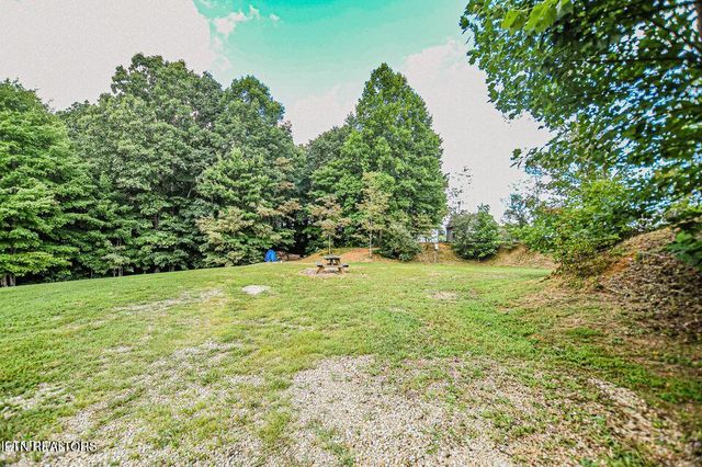 Racoon Lane, Pioneer, TN 37847