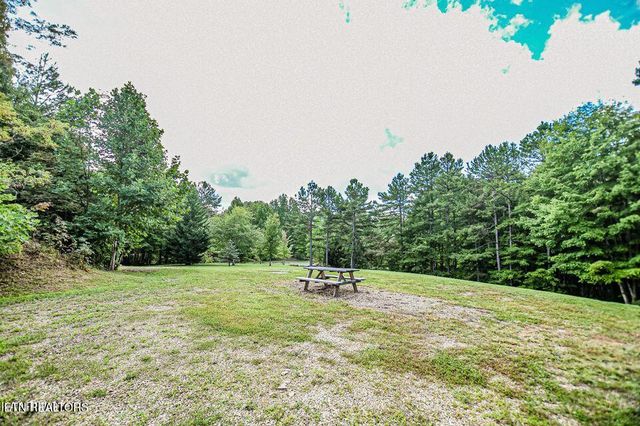 Racoon Lane, Pioneer, TN 37847