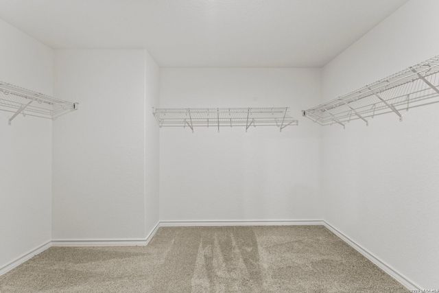 416 Raven Row, Marion, TX 78124