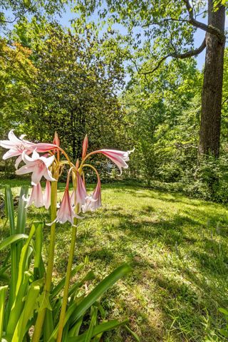 813 Fairmount Avenue, Signal Mountain, TN 37377