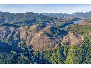 71 USFS 8100 Rd, Cougar, WA 98616
