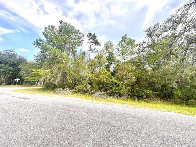 SAFFRON AVENUE, Eustis, FL 32736