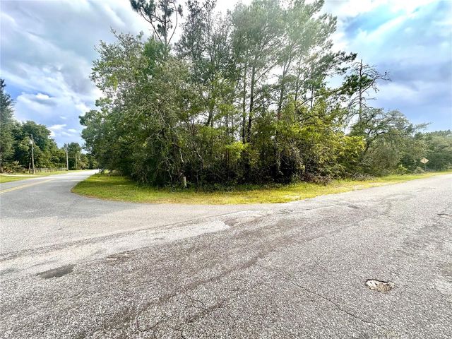 SAFFRON AVENUE, Eustis, FL 32736