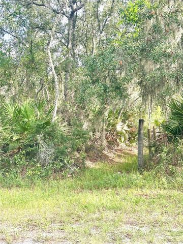 SAFFRON AVENUE, Eustis, FL 32736