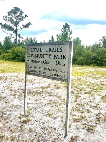 SAFFRON AVENUE, Eustis, FL 32736