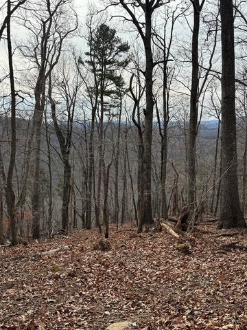 Lot 109B Folkstone Road, Talking Rock, GA 30143