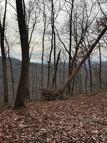 Lot 109B Folkstone Road, Talking Rock, GA 30143