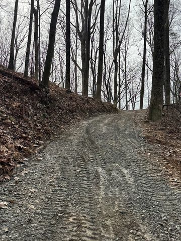 Lot 109B Folkstone Road, Talking Rock, GA 30143