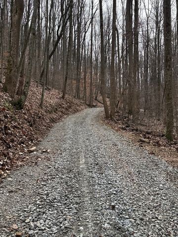 Lot 109B Folkstone Road, Talking Rock, GA 30143