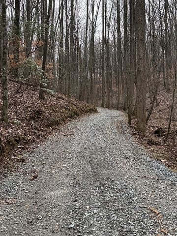 Lot 109B Folkstone Road, Talking Rock, GA 30143