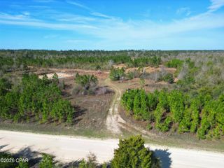 XX Cook/Cain Road, Clarksville, FL 32430