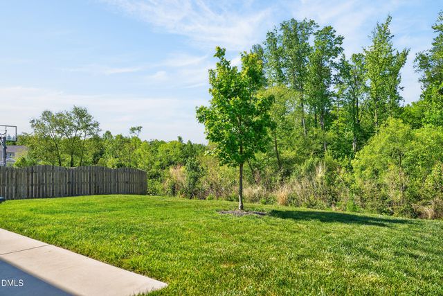 1209 Turkey Trot Road, Wendell, NC 27591