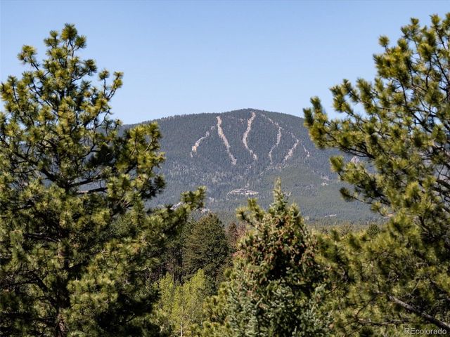8731 Grizzly Way, Evergreen, CO 80439