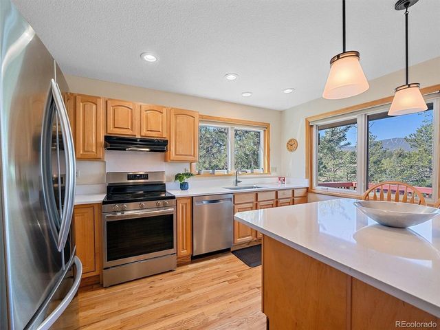 8731 Grizzly Way, Evergreen, CO 80439