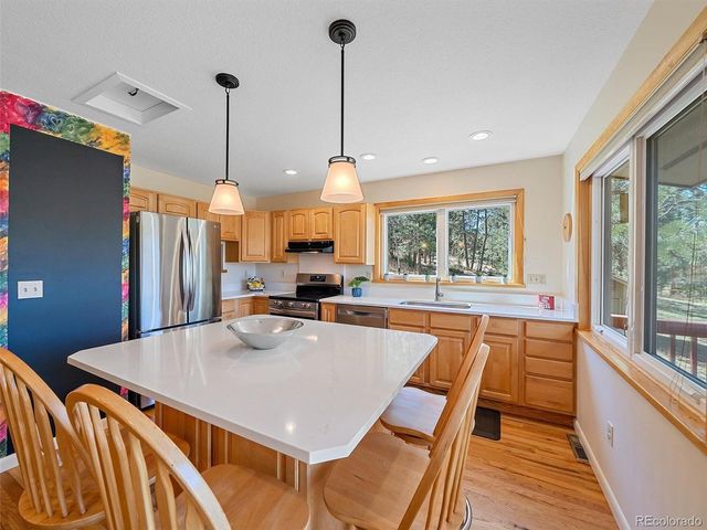8731 Grizzly Way, Evergreen, CO 80439