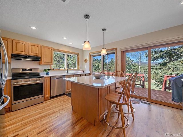 8731 Grizzly Way, Evergreen, CO 80439