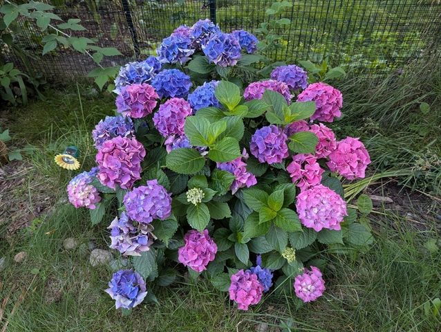 14 Highland Avenue, Hull, MA 02045