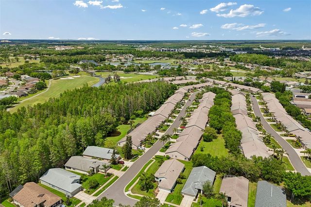 11539 WEAVER PARK COURT, Trinity, FL 34655