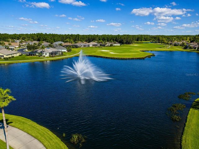 11539 WEAVER PARK COURT, Trinity, FL 34655