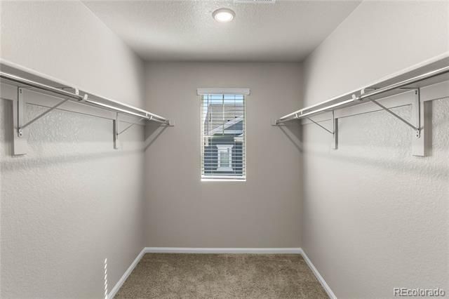 5077 S Robb Street, Littleton, CO 80127
