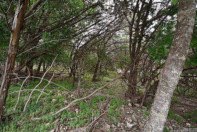 1873 Lakeshore, Canyon Lake, TX 78133