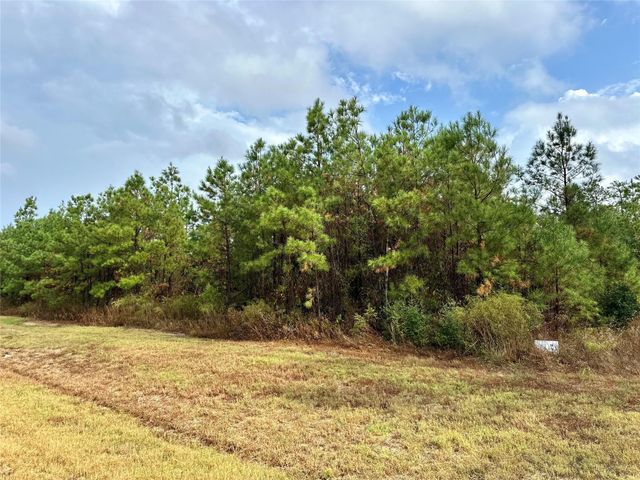 15886 Wood Grove Way, Willis, TX 77378