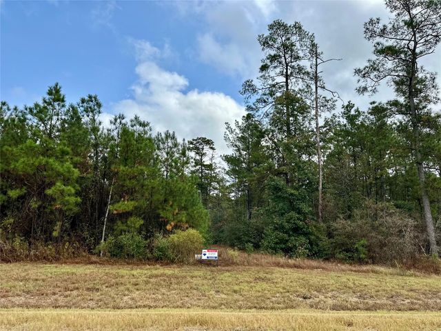 15886 Wood Grove Way, Willis, TX 77378