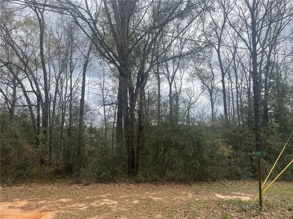 0 Wilson Drive, Citronelle, AL 36522 — exterior