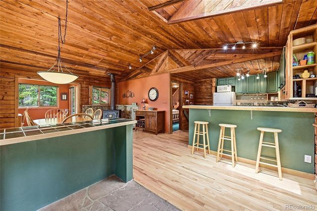 353 Brook Drive, Idaho Springs, CO 80452