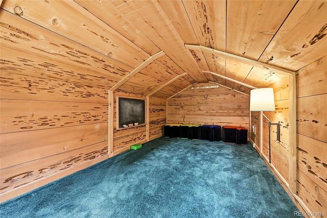 353 Brook Drive, Idaho Springs, CO 80452